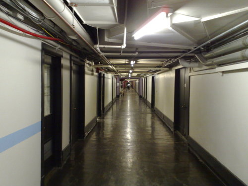 Tips for avoiding water damage with basement waterproofing paint