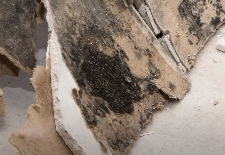 can mold in basement affect upstairs