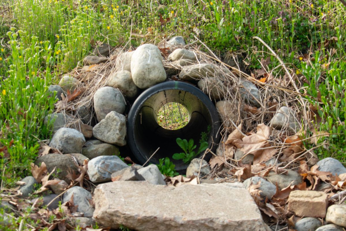 French Drain Advantages Over Sump Pumps