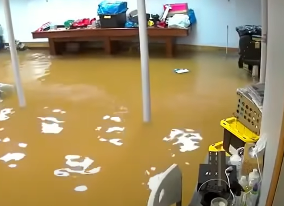 how to clean flood water