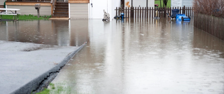 best sump pump for yard drainage