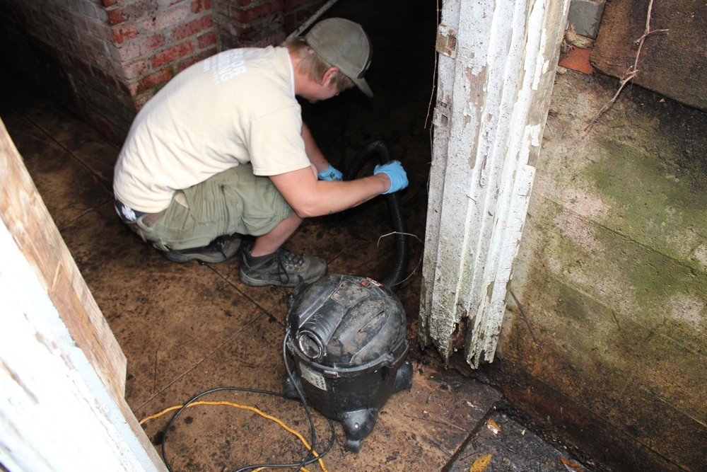 pump sump test maintaining steps simple